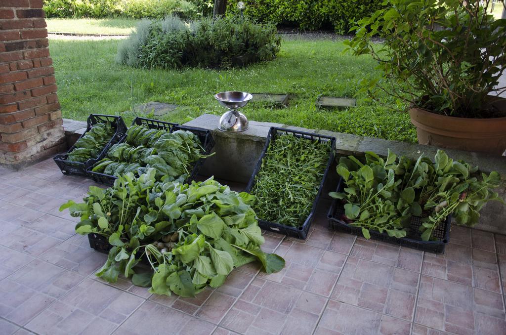 Cascina Foresto Bed & Breakfast Cossato Luaran gambar